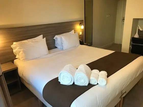 Deluxe Tek Büyük Yataklı Oda, 1 En Büyük (King) Boy Yatak