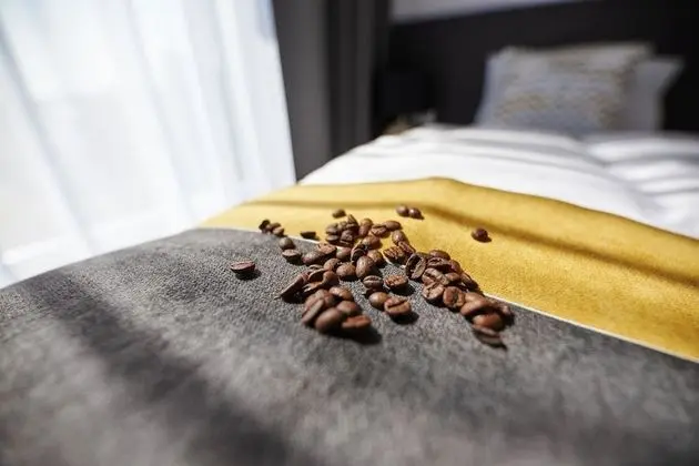 Superior Süit (Cappuccino 13)
