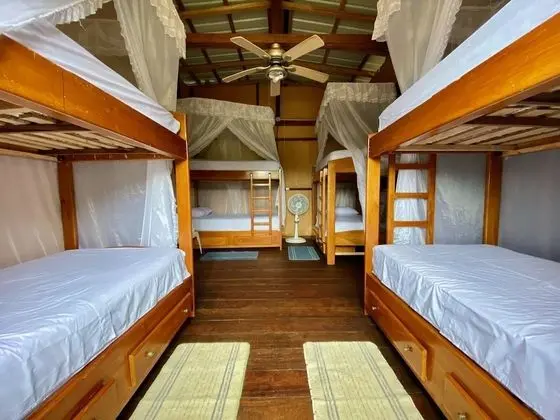 Deluxe Bungalov, Plaj Manzaralı