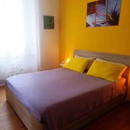 Tek Büyük Yataklı Oda, Banyolu/Duşlu (Zafferano)