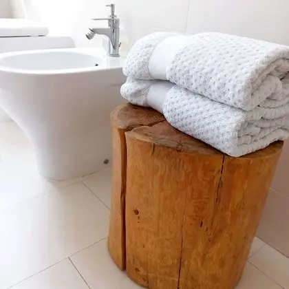 Tek Büyük Yataklı Oda, Özel Banyo (External Cannella)