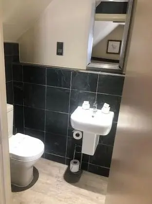 Tek Büyük Yataklı Oda, Banyolu/Duşlu (Shower)