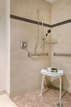 Süit, 1 En Büyük (King) Boy Yatak, Engellilere Uygun (Mobility & Hearing, Roll-in Shower)