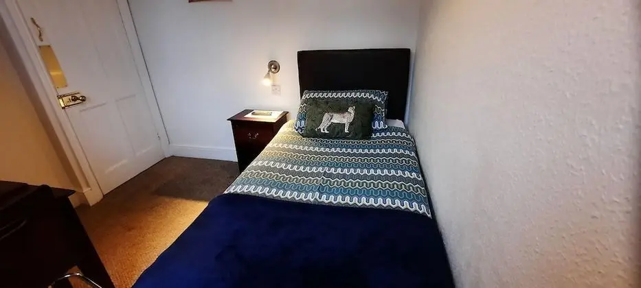 Standard Tek Kişilik Oda, Banyolu/Duşlu (small budget room)