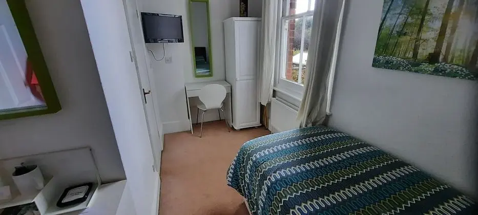 Standard Tek Kişilik Oda, Banyolu/Duşlu (small budget room)