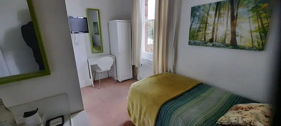 Standard Tek Kişilik Oda, Banyolu/Duşlu (small budget room)