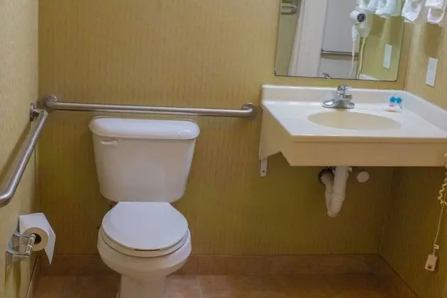 Deluxe Oda, 1 En Büyük (King) Boy Yatak