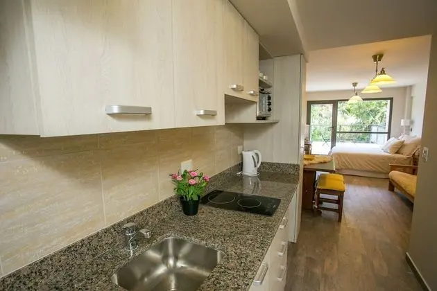 City Apart Daire, 1 Yatak Odası, Sigara İçilmez (Colibri 4)