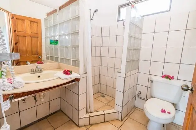 Standard Oda, 1 En Büyük (King) Boy Yatak, Havuz Kullanımı, Bahçeli