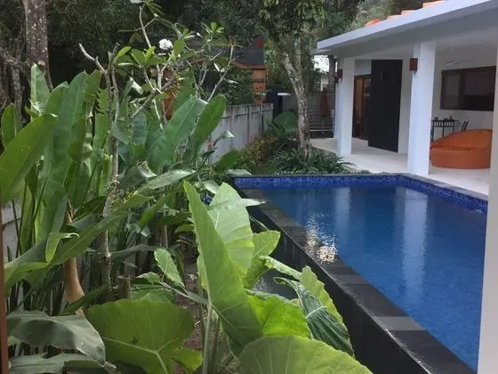Stüdyo, Havuz Manzaralı (Poolside)