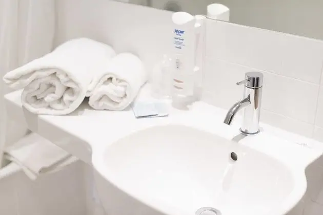 Comfort Tek Büyük Yataklı Oda, Bahçe Manzaralı