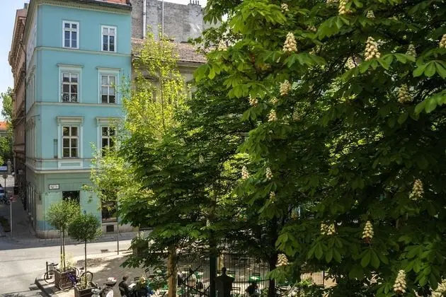 Superior Süit, 1 En Büyük (King) Boy Yatak, Balkon