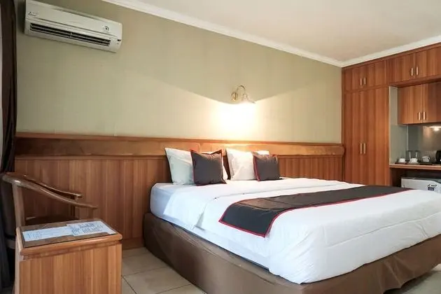 Deluxe Tek Büyük Yataklı Oda