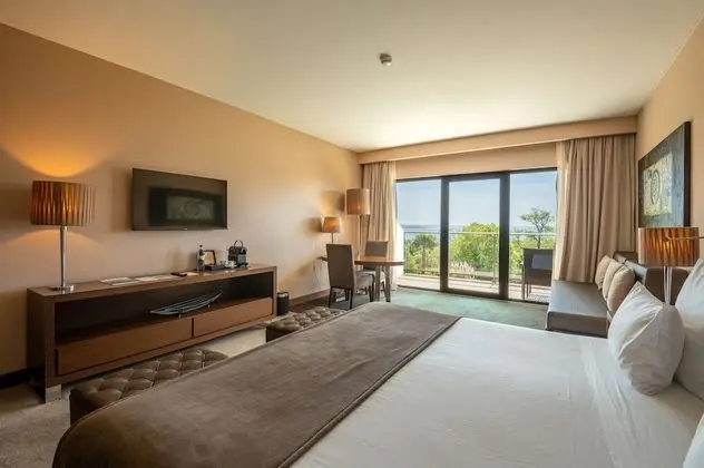 Premium Tek Büyük veya İki Ayrı Yataklı Oda, Balkon