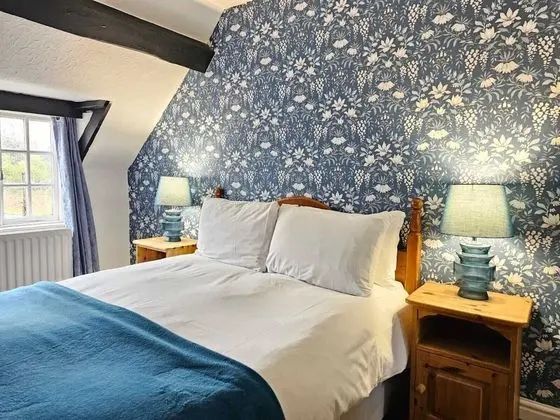 Superior Tek Büyük Yataklı Oda, Banyolu/Duşlu (Village Green)