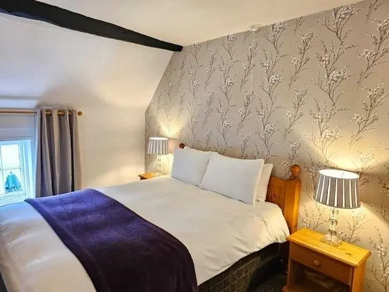 Tek Büyük Yataklı Oda, Banyolu/Duşlu (Henrys Room)