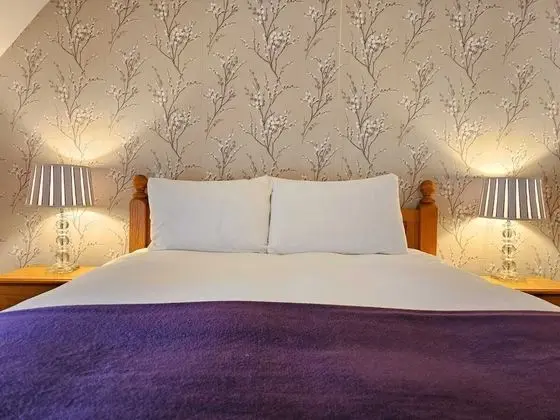 Tek Büyük Yataklı Oda, Banyolu/Duşlu (Henrys Room)