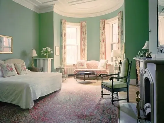 Superior Tek Büyük Yataklı Oda, Banyolu/Duşlu (Two Full Beds)