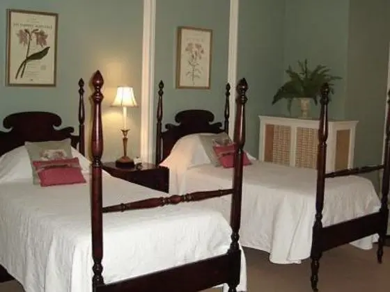 Superior Tek Büyük Yataklı Oda, Banyolu/Duşlu (Two Full Beds)