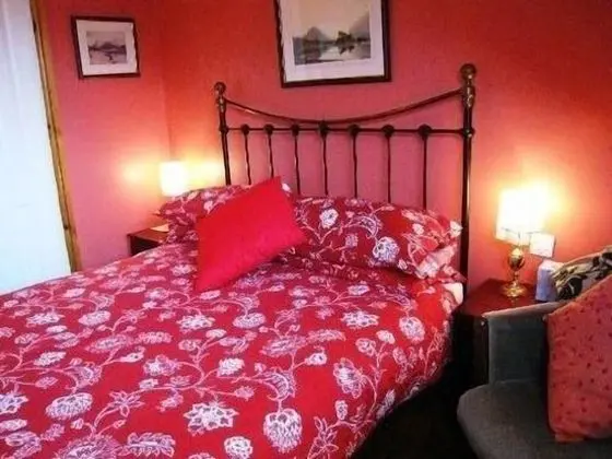 Standard Tek Büyük Yataklı Oda, Banyolu/Duşlu (room 3)
