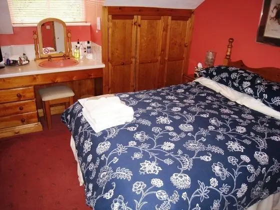 Standard Tek Büyük Yataklı Oda, Banyolu/Duşlu (room 4)