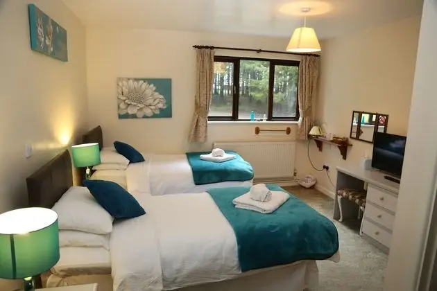 Deluxe İki Ayrı Yataklı Oda, Banyolu/Duşlu