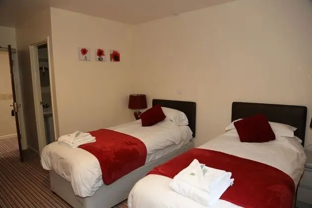Deluxe İki Ayrı Yataklı Oda, Banyolu/Duşlu