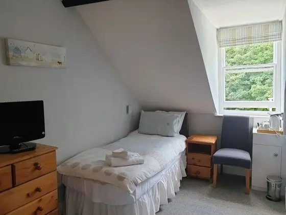 Tek Büyük veya İki Ayrı Yataklı Oda, Banyolu/Duşlu (wood view)