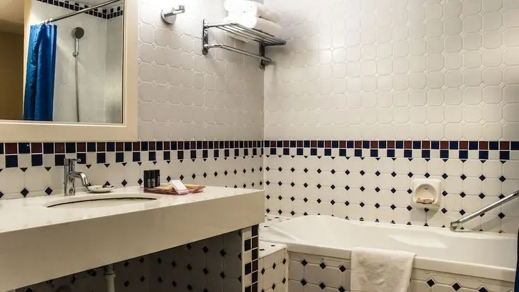 Deluxe Süit, 1 Yatak Odası