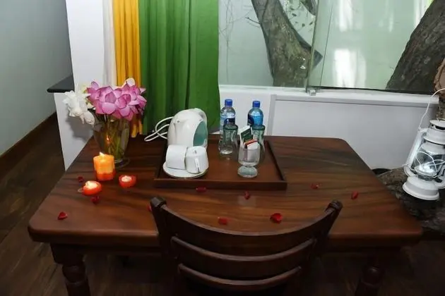 Honeymoon Tek Büyük Yataklı Oda