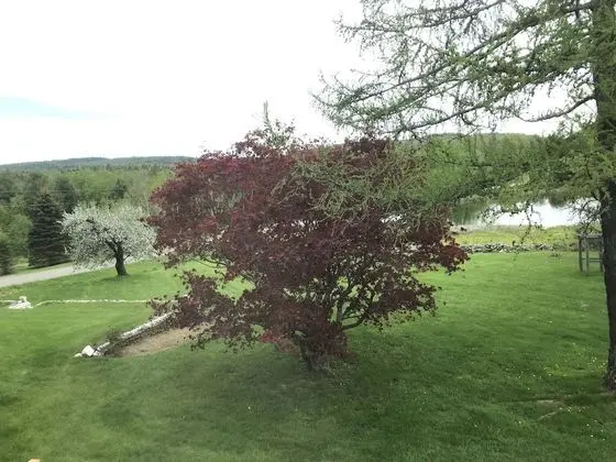 Oda, 1 En Büyük (King) Boy Yatak, Tepe Manzaralı