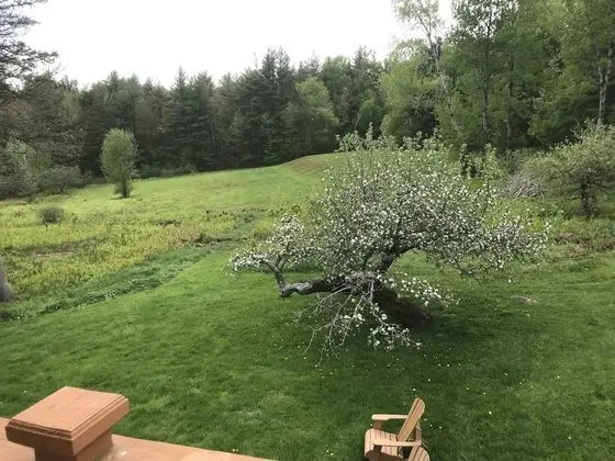 Oda, 1 En Büyük (King) Boy Yatak, Tepe Manzaralı