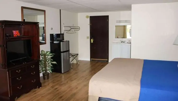Oda, 1 En Büyük (King) Boy Yatak, Sigara İçilmez (1 King Bed Junior Suite Non Smoking)