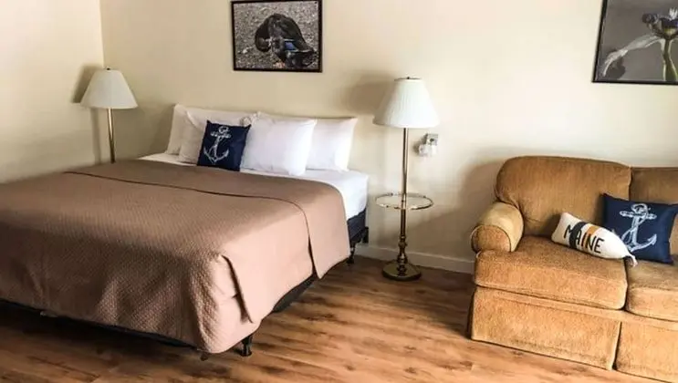 Oda, 1 En Büyük (King) Boy Yatak, Sigara İçilmez (1 King Bed Junior Suite Non Smoking)