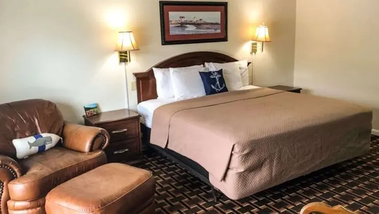 Oda, 1 En Büyük (King) Boy Yatak, Sigara İçilmez (1 King Bed Junior Suite Non Smoking)