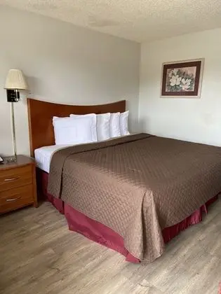 Tek Kişilik Oda, 1 En Büyük (King) Boy Yatak, Sigara İçilebilir