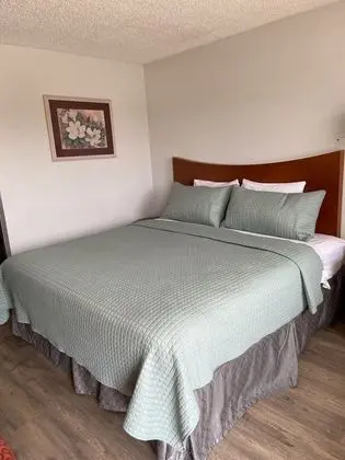 Tek Kişilik Oda, 1 En Büyük (King) Boy Yatak, Sigara İçilmez