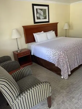 1 King Bed