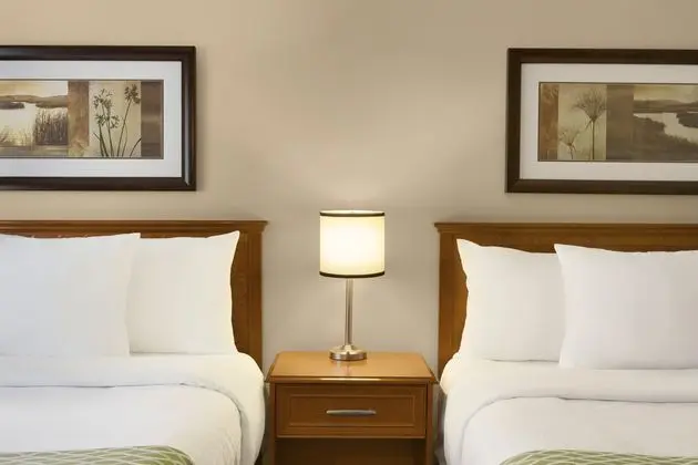 Çift ​​kişilik Two Queen Beds