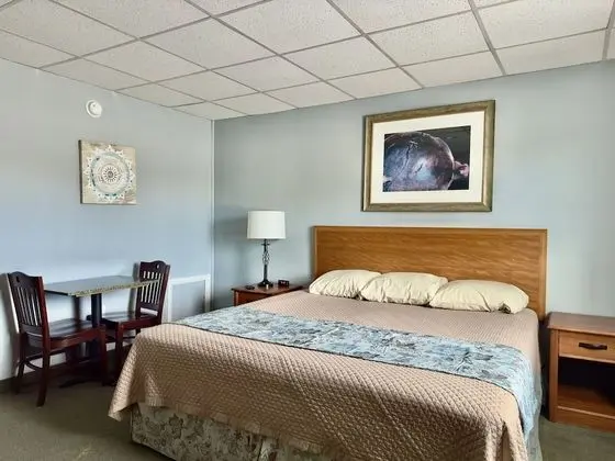 Oda, 1 En Büyük (King) Boy Yatak