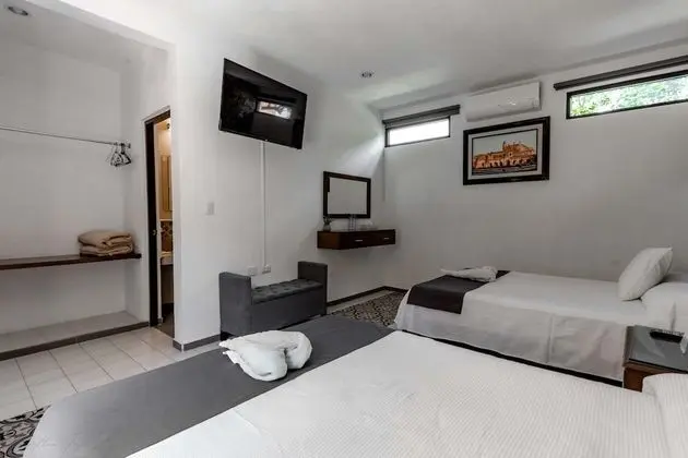 Family Tek Büyük Yataklı Oda, 2 Çift Kişilik Yatak, Özel Banyo, Şehir Manzaralı