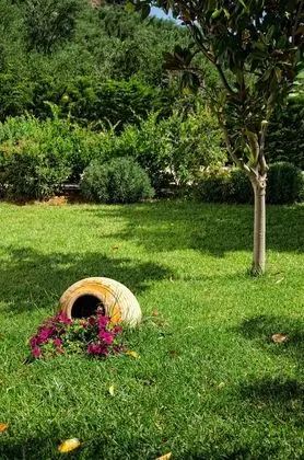 Stüdyo, Bahçe Manzaralı