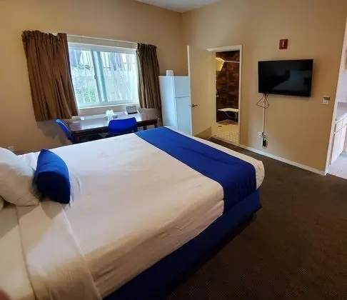 Comfort Stüdyo Süit, 1 Yatak Odası, Engellilere Uygun