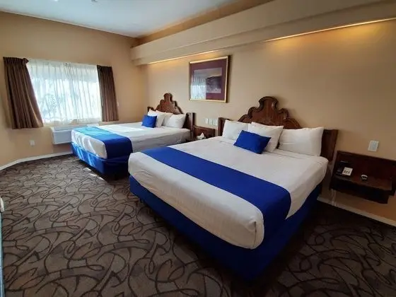 Luxury Süit, Birden Çok Yatak, Engellilere Uygun