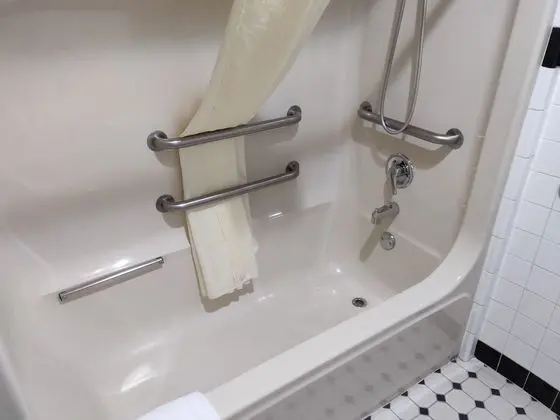Luxury Süit, Birden Çok Yatak, Engellilere Uygun
