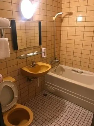 Comfort Tek Büyük Yataklı Oda, Sigara İçilmez