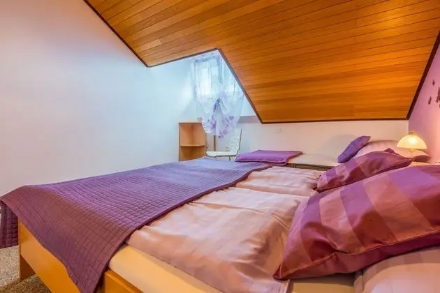Apart Daire (Colorful - modern Apartments - A2 lju)
