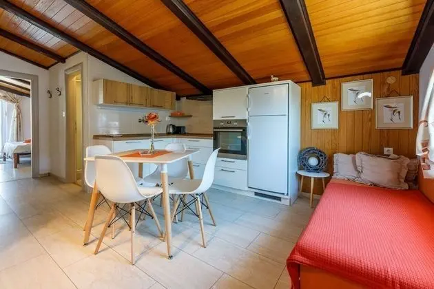 Apart Daire (Colorful - modern Apartments - A3 nar)