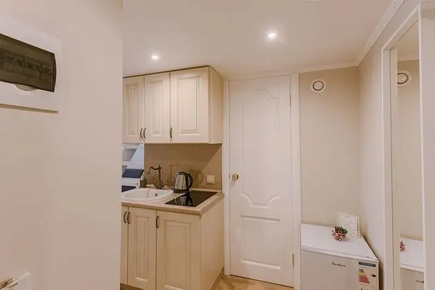 Stüdyo, 1 Çift Kişilik Yatak ve Çekyat, Küçük Mutfak (Vasnetsov)