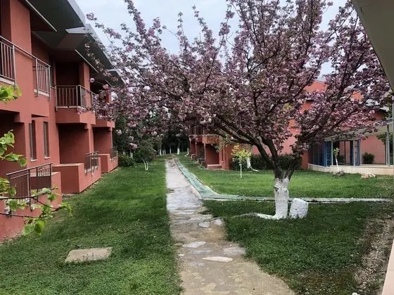 Standard Tek Kişilik Oda